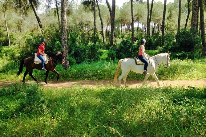 horse-riding-excursion-from-seville