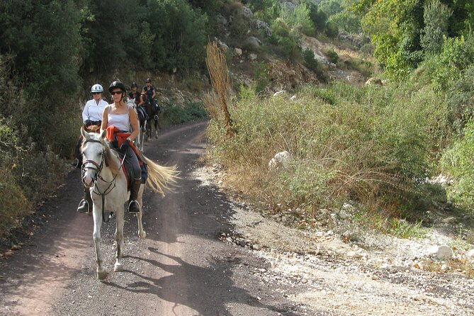 horse-riding-tour-in-bodrum-with-hotel-pick-up