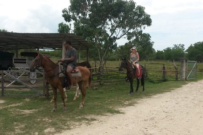 horseback-ride-and-mayfield-falls-combo-from-negril