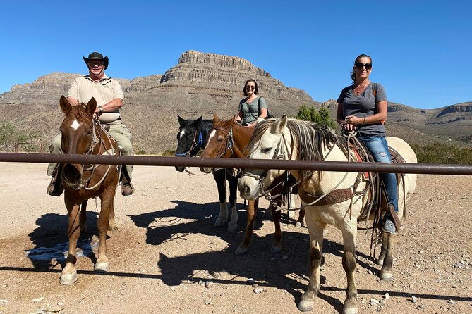 horseback-ride-joshua-tree-forest-buffalo-lunch-singing-cowboy-2