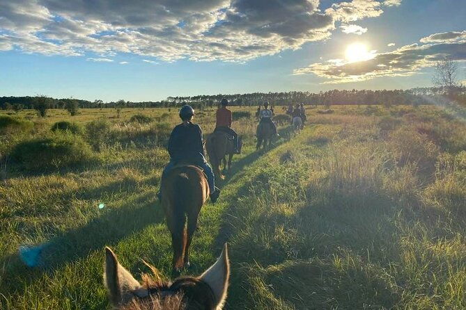 horseback-ride-on-scenic-lake-louisa-trails