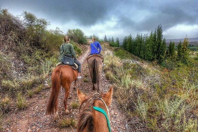 horseback-ride-through-vineyards-followed-by-gourmet-lunch-dinner