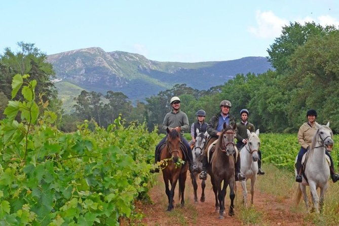 horseback-riding-4-options-mountain-lesson-ring-beach-2hours