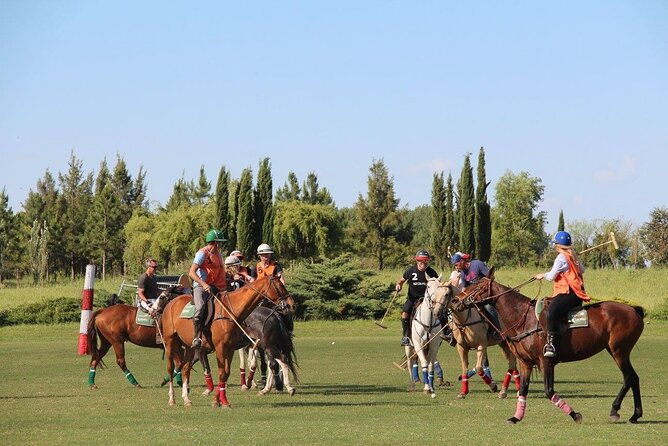 horseback-riding-and-polo-in-buenos-aires