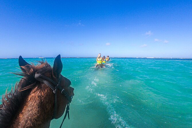 horseback-riding-and-river-tubing-combo-from-montego-bay