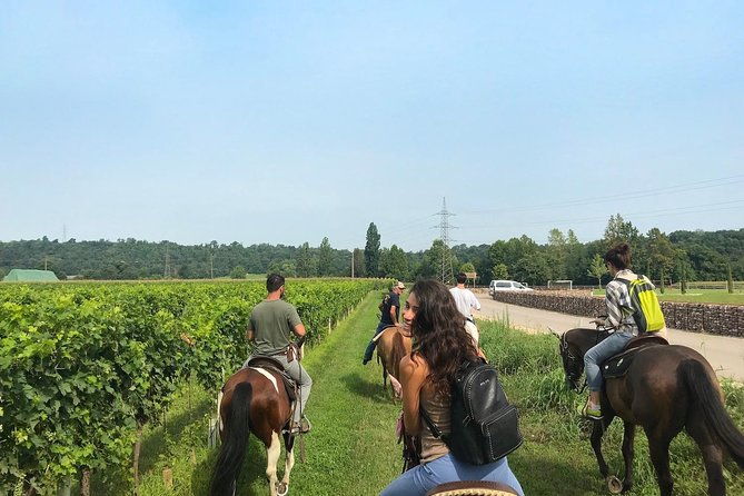 horseback-riding-and-wine-tasting