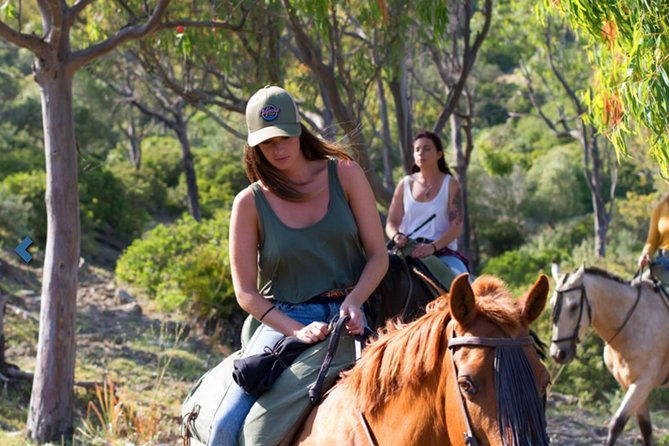 horseback-riding-by-the-beach-or-mountain-in-tarifa-spain-1-to-2-hrs