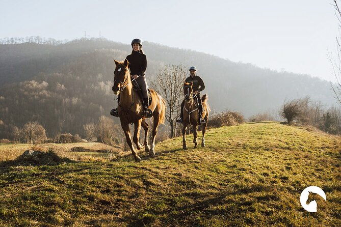 horseback-riding-for-experts-between-the-lake-and-the-mountains