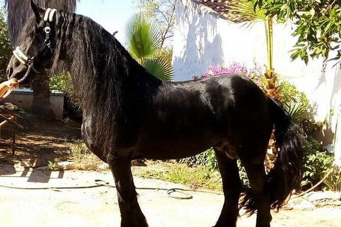 horseback-riding-in-cartagena-spain