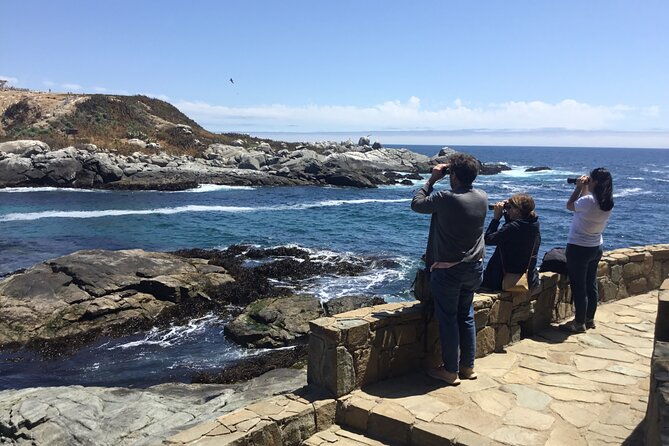 horseback-riding-on-beach-winery-alpacas-penguins-cowboybbq