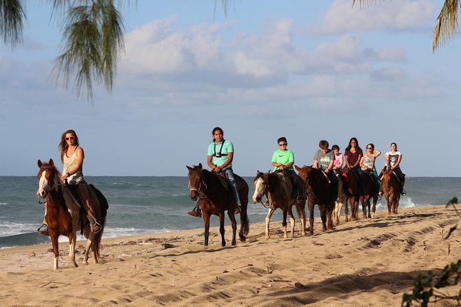 horseback-riding-through-secluded-beaches-and-tropical-forests