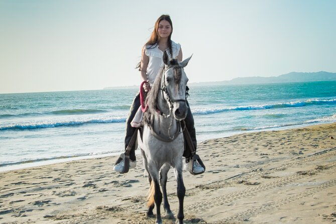 horseback-riding-tour-in-a-colombian-paso-fino-horse