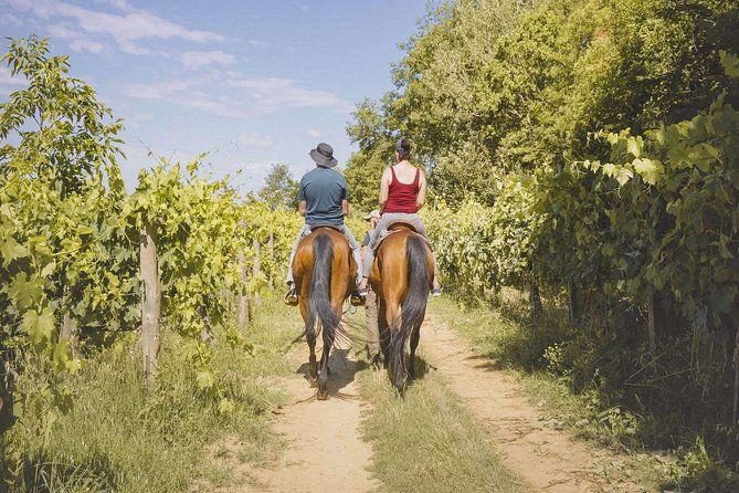 horseback-riding-tour-with-tuscan-picnic-in-val-dorcia-and-valdichiana