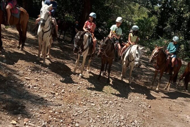 horseback-riding-tours-on-the-beach-mountain