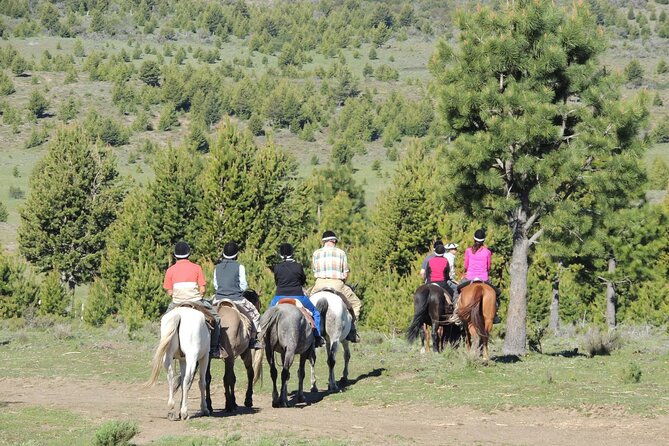 horseback-riding-with-asado-in-san-carlos-de-bariloche-argentina