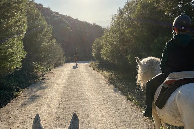 horseback-riding-with-certified-guide