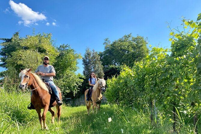 horseback-riding-with-wine-and-food-tasting-in-lazise-countryside
