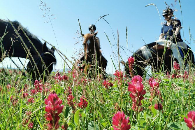 horsebackriding-explore-tuscan-nature-2