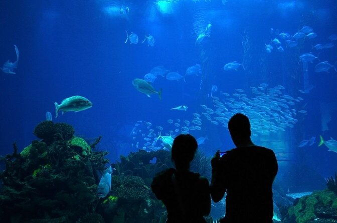 houston-city-tour-and-downtown-aquarium-all-rides-pass-2