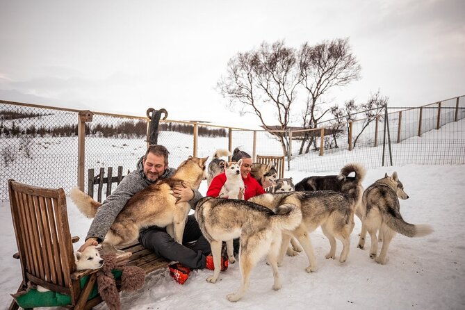 husky-petting-in-akureyri-private-2