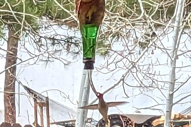 hydro-dipped-hummingbird-feeder
