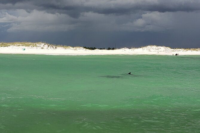 hydro-rocket-dolphin-sightseeing-boat-tour-from-destin-2