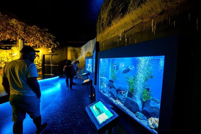 imax-theater-and-miraflores-locks