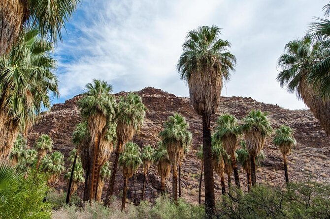 indian-canyons-hiking-tour-by-jeep-from-palm-springs-2