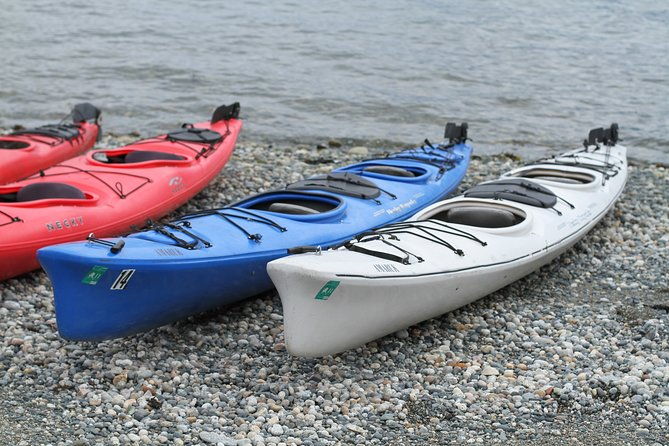 inside-passage-sea-kayaking-from-skagway
