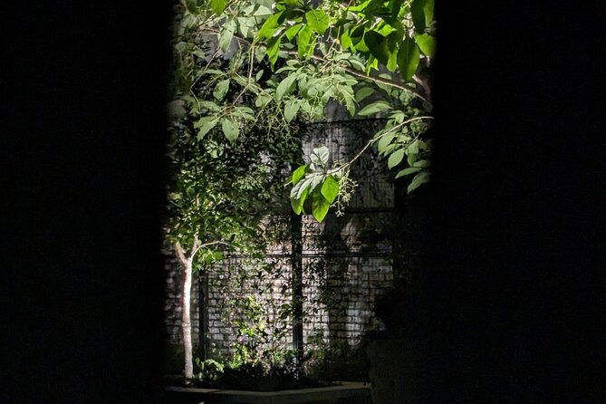 interactive-paranormal-ghost-walking-tour-in-savannah-georgia