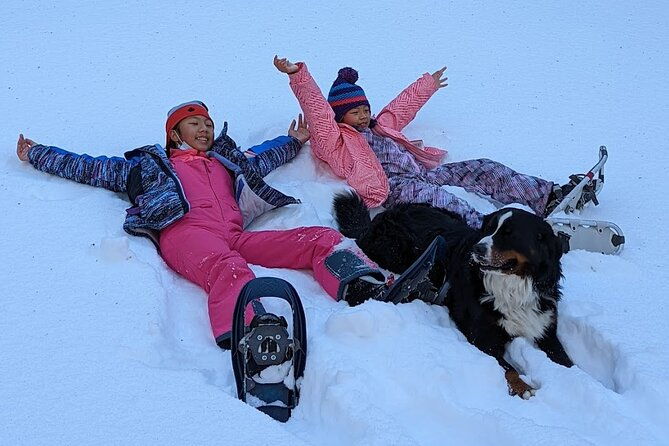 introductory-snowshoe-shared-experience
