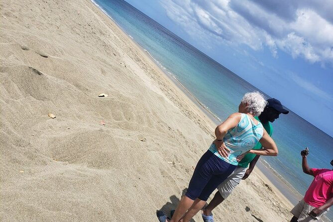 island-tours-of-tobago