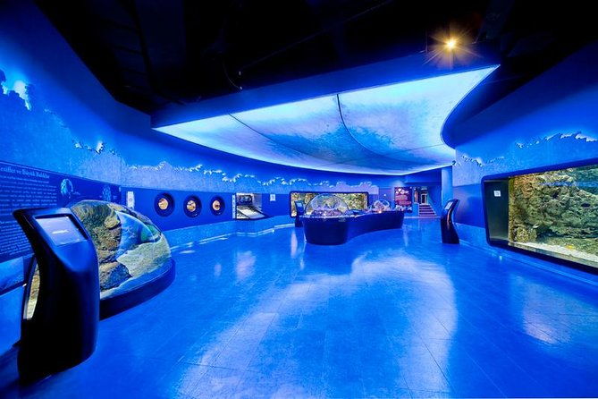 istanbul-aquarium-and-aqua-florya-independent-shopping-trip-2