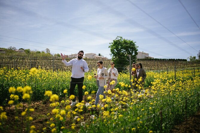 istria-wine-tour-from-rijeka-and-opatija