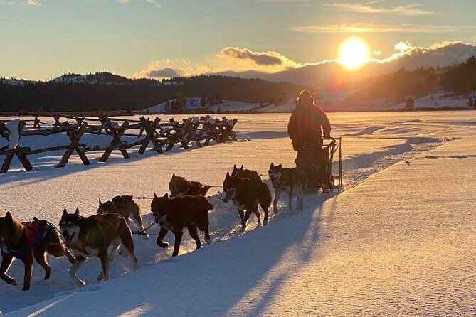 jackson-hole-full-day-dog-sledding-and-snowmobiling-combo-trip