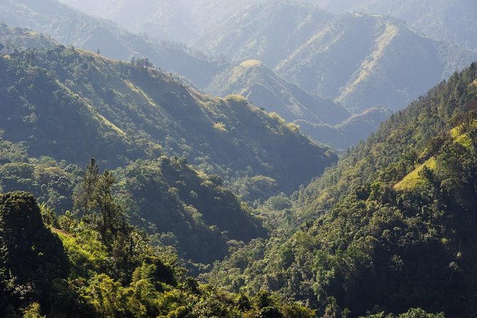 jamaica-blue-mountain-guided-nature-tour