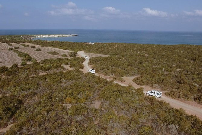 jeep-safari-akamas-from-paphos