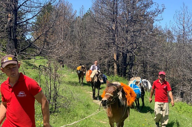 jeep-safari-berat-hiking-caravan-mule-in-tomori-holy-mount-2