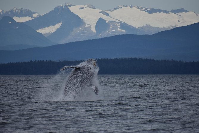 juneau-by-land-sea