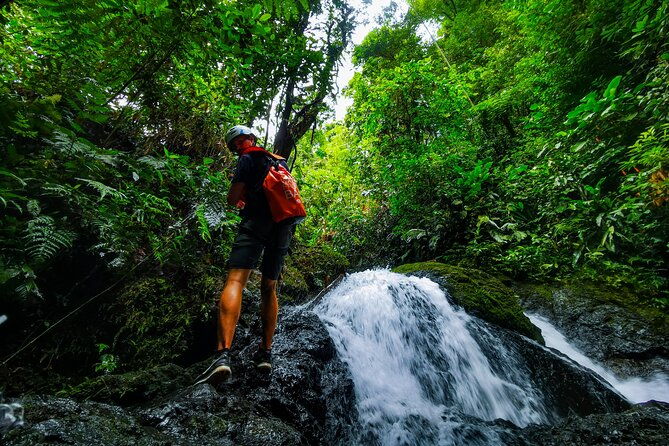jungle-hike-with-canyoning-and-rappelling-in-drake-bay