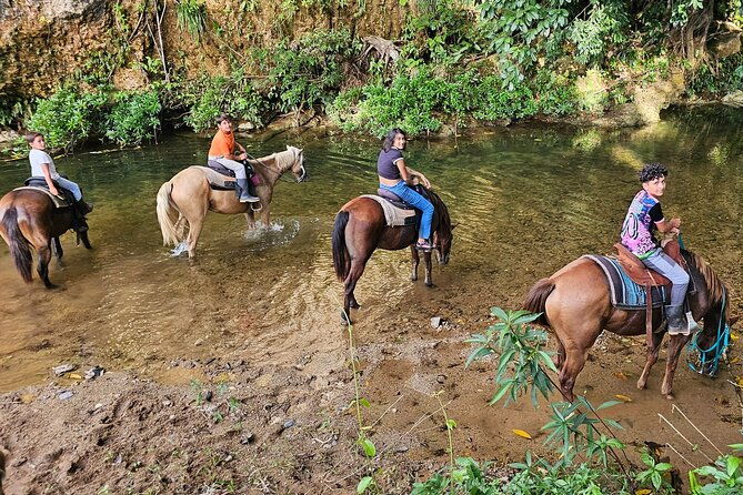 jungle-horseback-cave-tube-adventure