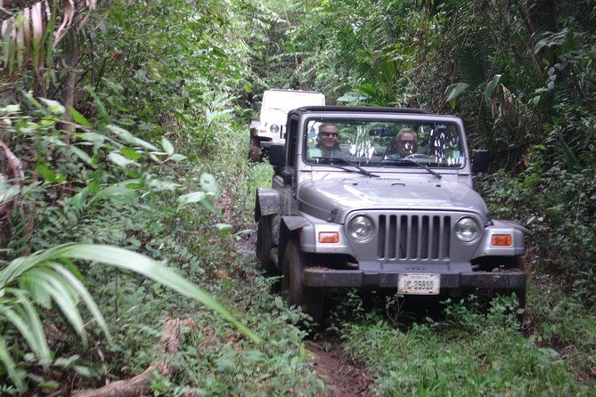 jungle-jeep-and-altun-ha-tour