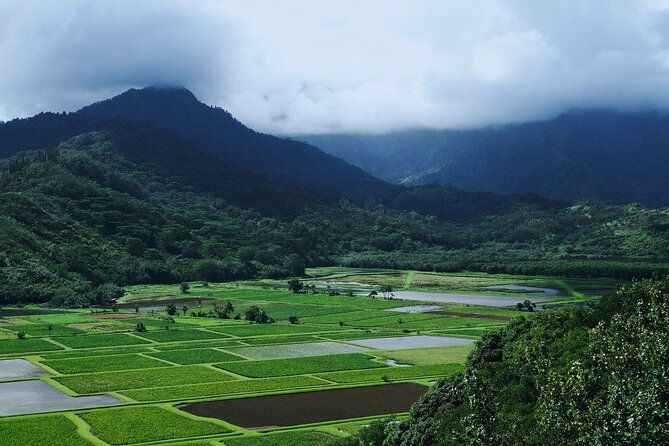 kauai-island-private-guided-movie-tour-from-poipu