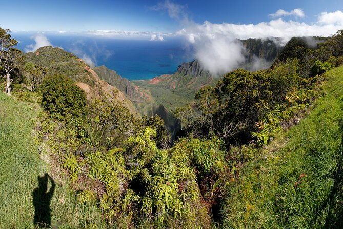 kauai-shore-excursion-waimea-canyon-adventure-tour-nawiliwili