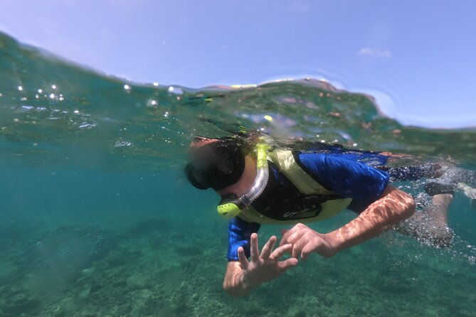 kauais-ultimate-guided-shore-snorkel-no-boat-north-anini