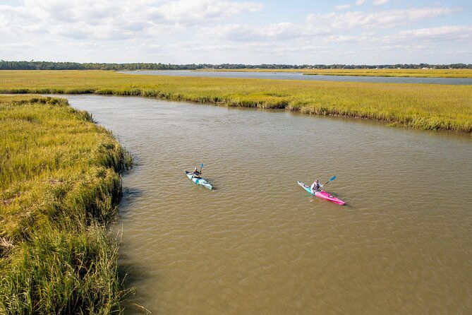 kayak-activity-and-sightseeing-in-dolphin-safari
