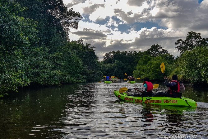 kayak-adventure-in-the-second-largest-swamp-of-trinidad-and-tobago