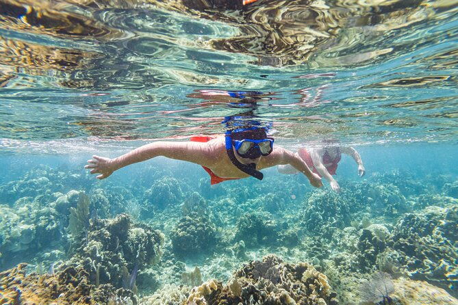 kayak-and-snorkeling-adventures-in-west-end
