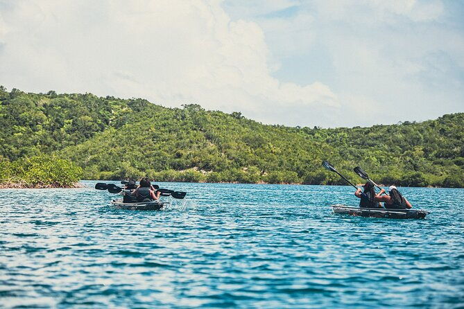 kayak-eco-adventures-glass-kayak-nature-and-snorkeling-tour