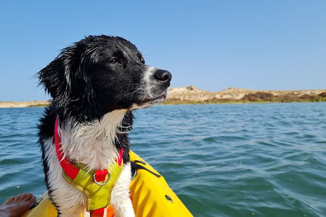 kayak-rental-in-praia-dos-cavacos
